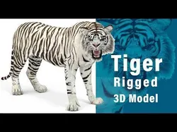 Rigged Sumatran White Tiger Low-poly 3D model