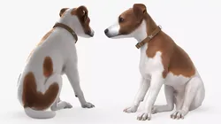 Small Jack Russell Dog Fur Sitting For Blender 3D model