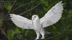 Snowy Owl Female with Spread Wings White 3D model