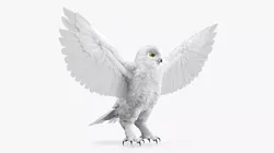 Snowy Owl Male White 3D model