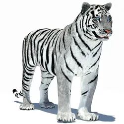 Tiger Amur White Animated Low-poly 3D model