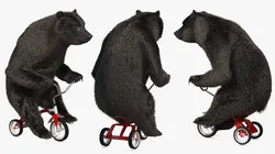 Tricycle Riding Bear Dark Brown Fur 3D model