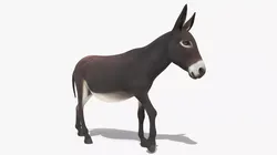 Walking Domestic Donkey Animated Rigged for Blender 3D model