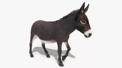 Walking Domestic Donkey Fur Animated Rigged for Blender 3D model
