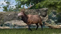 Wapiti Walk Fur Animated Rigged For Blender 3D model