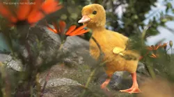 Waterfowl Duck Ducklings Running Animated Fur Rigged For Blender 3D model