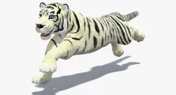 White Cartoon Tiger Animated Fur 3D model