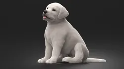 White Labrador Retriever Puppy Sitting Pose Fur for Cinema 4D 3D model