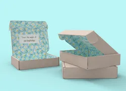 Cardboard Mailer Box