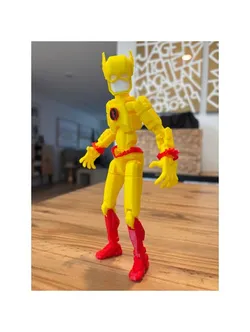 Reverse Flash Dummy 13