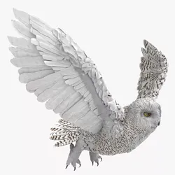 Arctic Snowy Owl Take Off Animated Rigged For Blender 3D model