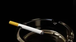 Burning Cigarette and Ashtray 3D model