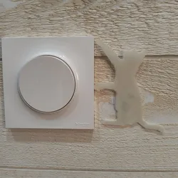 cat decoration switch