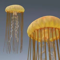 Chrysaora Fuscescens Jellyfish Arc Swim Animated Rigged For Maya 3D model