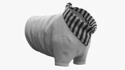 Clothing for Dogs White Black 3D model