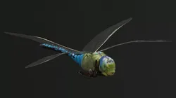 Dragonfly Flying Fur Animated Rigged For Maya 3D model