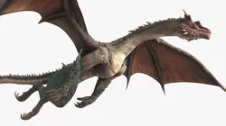 Fantasy Dragon Flying Animated Rigged For Maya 3D model