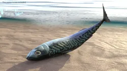 Fish Mackerel Idle on Land Animated Rigged For Blender 3D model