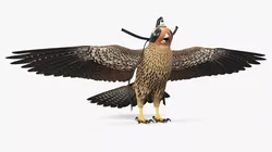 Hunting Falcon with Traditional Falconry Hood Brown 3D model