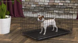 Kennel Cage with Jack Russell Terrier Fur 3D model