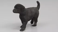 Labrador Retriever Puppy Fur Rigged For Maya 3D model