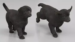 Labrador Retriever Puppy Walk and Run Animated Rigged For Maya 3D model