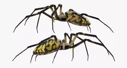 McKinley Arachnid 3D model