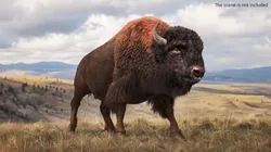 North American Bison Fur Rigged For Maya 3D model