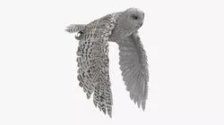 Northern Snowy Owl Landing Animated Rigged For Blender 3D model