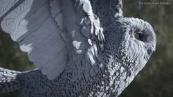 Snowy Owl with Spread Wings Rigged For Blender 3D model