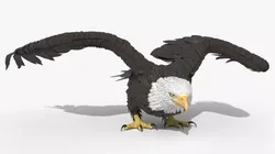 Soaring Bald Eagle Animated Rigged For Blender 3D model