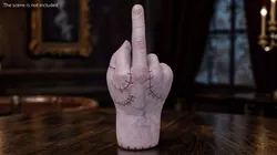 Thing Middle Finger Gesture Animated Rigged For Maya 3D model