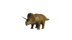 Triceratops 3D model
