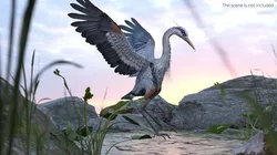 Wild Grey Heron Landing Animated Rigged For Blender 3D model