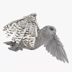 Wild Snowy Owl Flying Animated Rigged For Blender 3D model