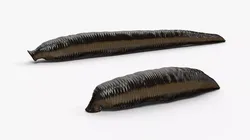 Aquatic Leech Crawling Animated Rigged For Blender 3D model