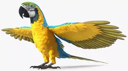 Blue and Yellow Macaw Parrot Resting Pose 3D model