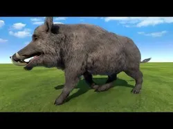 Boar rigged animated   Low-poly 3D model