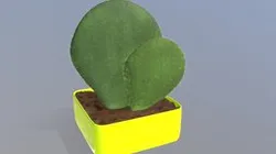 Cactus Prickly pear