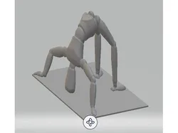 Circus Drawing Dummy
