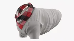 Dog Clothing Shirt with Plaid Bandana Red Black 3D model