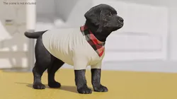 Dog Outfit with Plaid Bandana Fur 3D model