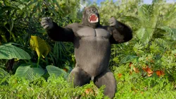 Gorilla Rage Stand Chest Beat Fur Animated Rigged For Blender 3D model