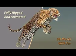 Leopard Animated Fur 3D model