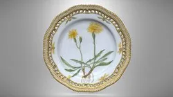 Porcelain plate from the Flora Danica service