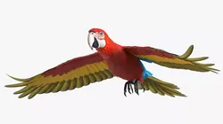 Red and Green Macaw Rigged 3D model