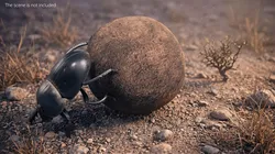 Roller Beetle Pushing Sphere Fur Animated Rigged For Maya 3D model