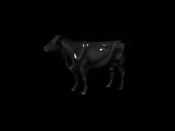 Stylized Black Cow Animal Game Ready - AI Low-poly 3D model