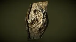 Uncovered burl