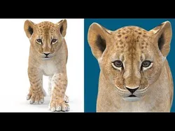 Animated Lion Cub Low-poly 3D model